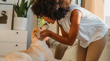 2025 Pet Care Picks: Premium Food, Cosy Beds & Smart Outdoor Solutions for UK Pets