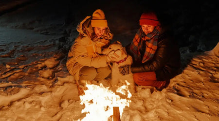 10 Essential Tips for Keeping Your Pet Safe Over Bonfire Night