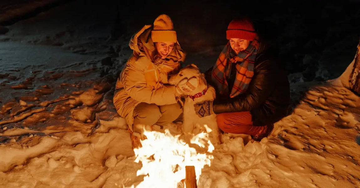 10 Essential Tips for Keeping Your Pet Safe Over Bonfire Night