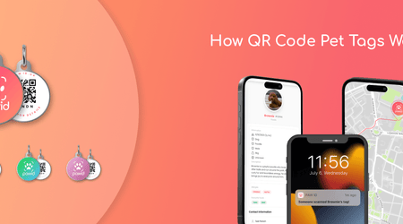 Do QR Dog Tags Work?