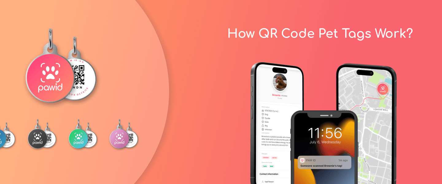 Do QR Dog Tags Work?