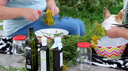 The Essential Dog & Cat Comfort Guide 2025: Top Products for Happy Pets in the UK