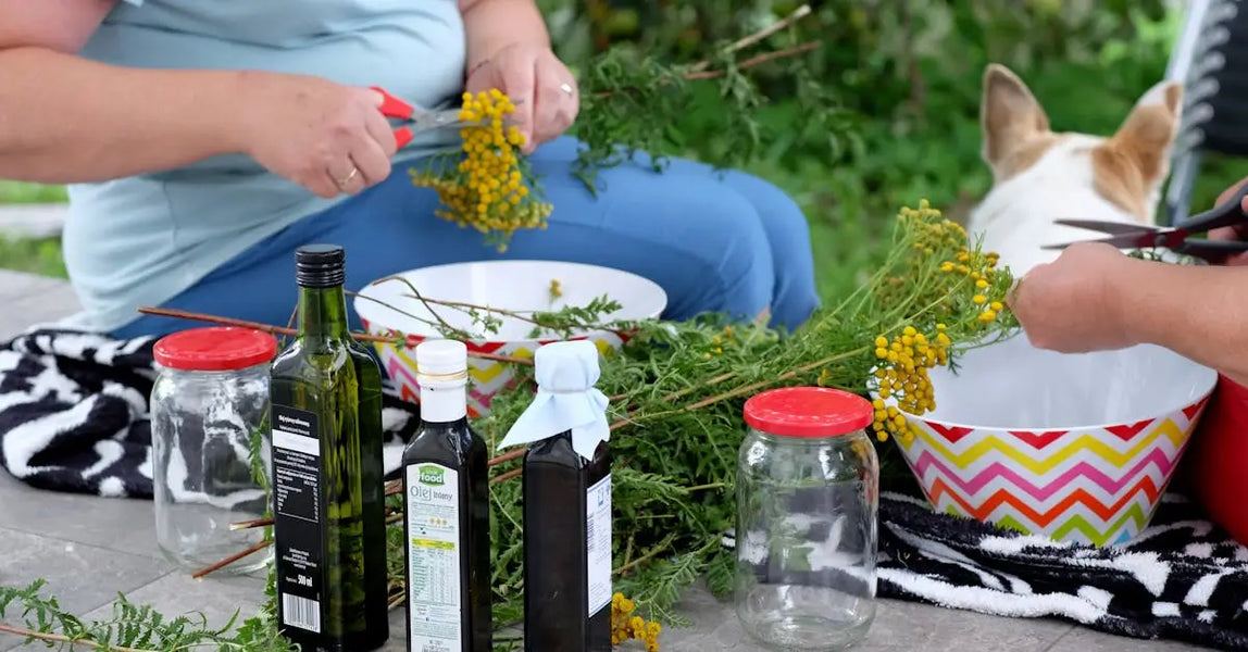 The Essential Dog & Cat Comfort Guide 2025: Top Products for Happy Pets in the UK