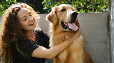 Essential Pet Care Products for UK Owners in 2025: Our Top Picks to Keep Pets Happy and Healthy