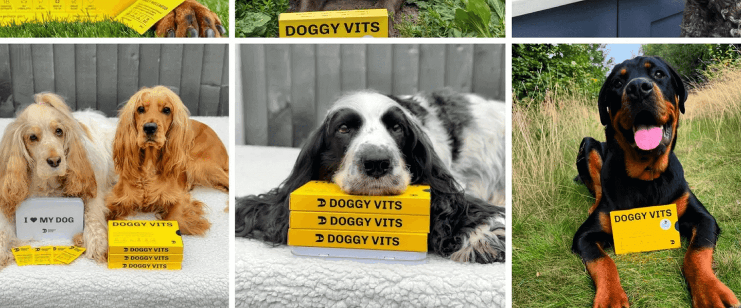 Give Your Dog the Health They Deserve: Why We Love Doggyvits Supplements