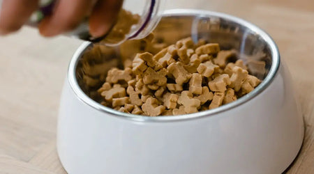 The Ultimate Guide to Healthy Pet Nutrition and Treats in 2025