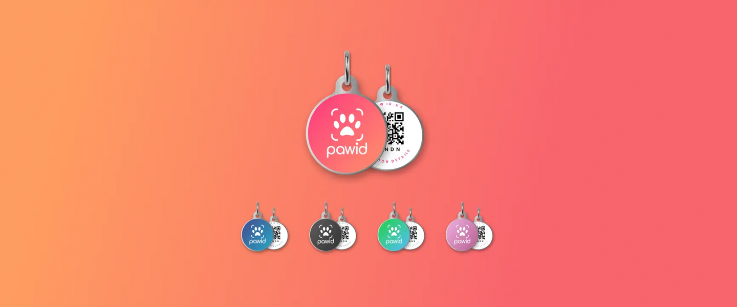 How the UK’s Only Compliant QR Pet Tags Work