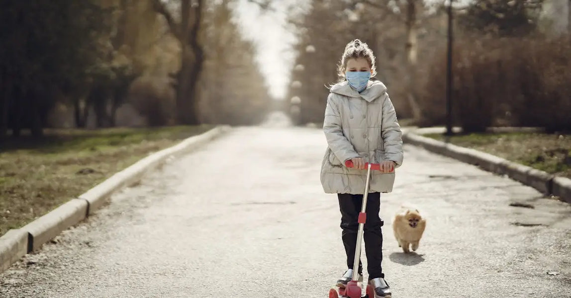 How to Keep Your Pet Safe During Fireworks Season in the UK: Essential Tips and Tools