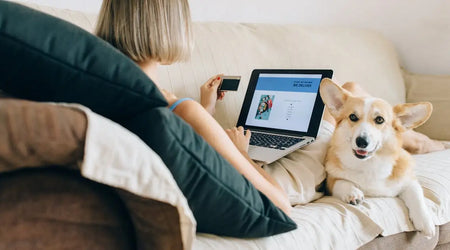 Lost Pet Posters to QR Tags: Modern Solutions for Finding Missing Pets in the UK