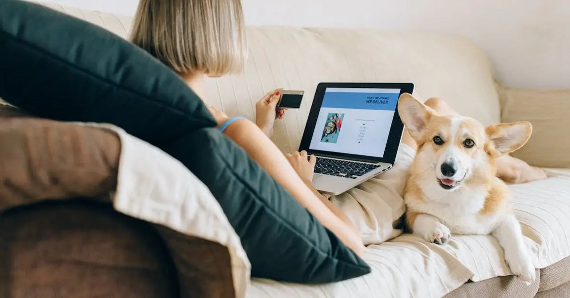 Lost Pet Posters to QR Tags: Modern Solutions for Finding Missing Pets in the UK