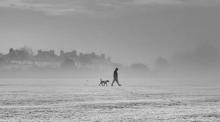 Peace of Mind for UK Pet Owners: The Complete Guide to Lost Pet Prevention and Rapid Recovery in 2025