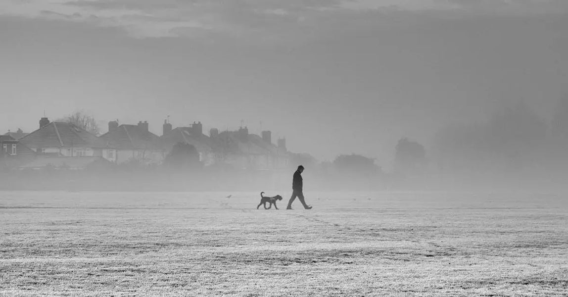 Peace of Mind for UK Pet Owners: The Complete Guide to Lost Pet Prevention and Rapid Recovery in 2025