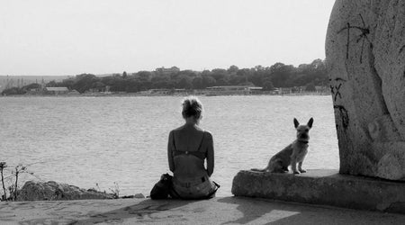 Lost Pet Prevention: How to Stop Your Dog or Cat Going Missing in the UK