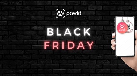 🖤 Black Friday 2024: Over 50% Off Paw ID Tags – Our Biggest Sale Ever! 🖤