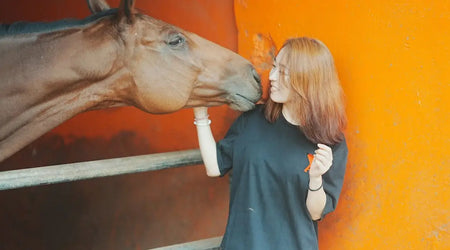 Pet Care Picks for a Joyful 2025: Standout Foods, Grooming Tools & Accessories for UK Cats and Dogs