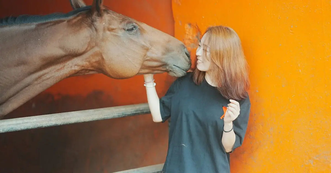 Pet Care Picks for a Joyful 2025: Standout Foods, Grooming Tools & Accessories for UK Cats and Dogs