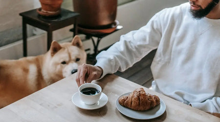 Pet Owner Picks: Top-Rated Food and Safety Essentials for Dogs, Cats & Wildlife in 2025