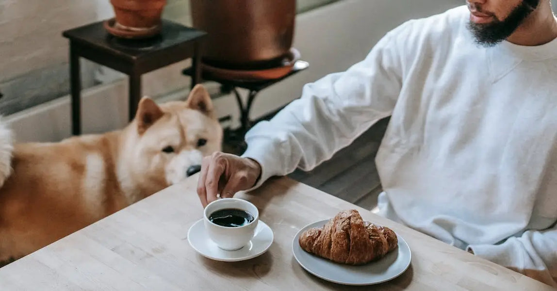 Pet Owner Picks: Top-Rated Food and Safety Essentials for Dogs, Cats & Wildlife in 2025