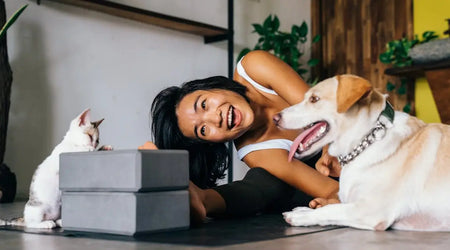 How to Pet-Proof Your Home: Safety Tips for UK Cat and Dog Owners