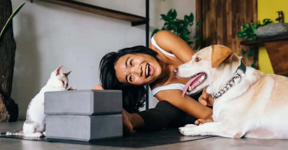 How to Pet-Proof Your Home: Safety Tips for UK Cat and Dog Owners