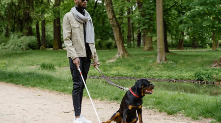 The Complete Checklist for Pet Safety at UK Parks and Green Spaces