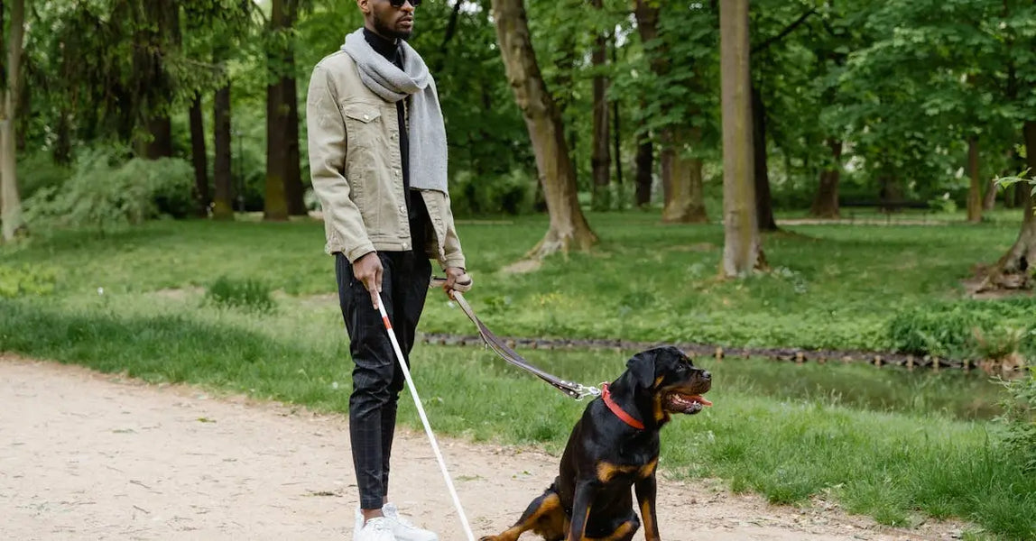 The Complete Checklist for Pet Safety at UK Parks and Green Spaces