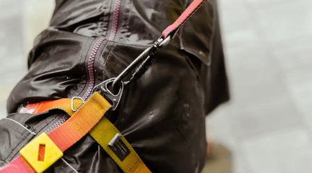 Pet Safety for UK Walks: Essential Tips for Secure Dog Adventures