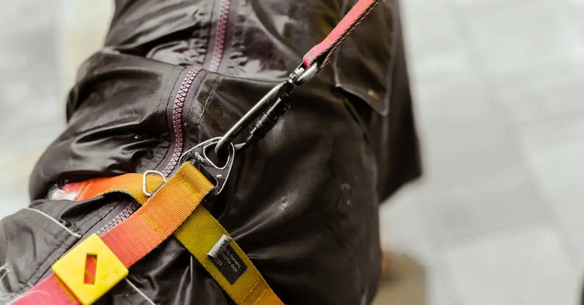 Pet Safety for UK Walks: Essential Tips for Secure Dog Adventures