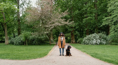 How to Prepare Your Pet for Unexpected UK Emergencies: A Practical Safety Guide