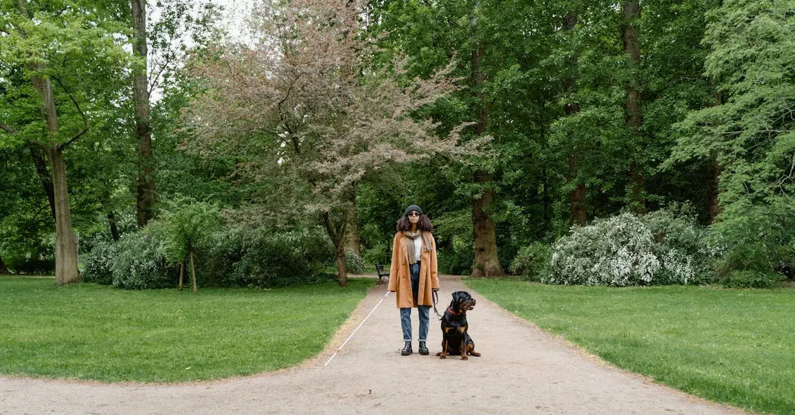 How to Prepare Your Pet for Unexpected UK Emergencies: A Practical Safety Guide