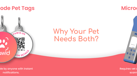 QR Code Pet Tags vs. Microchips: Why Your Pet Needs Both