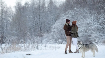 Lost and Found: Real Stories of UK Pets Reunited Thanks to QR Code ID Tags