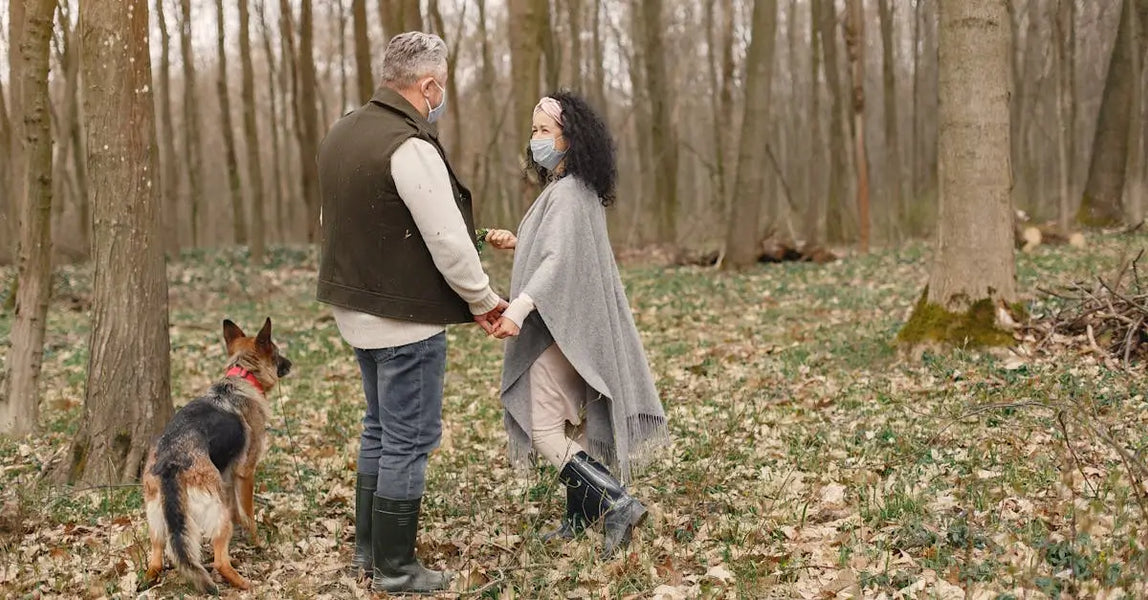 Seasonal Pet Safety in the UK: Essential Tips for Spring, Summer, Autumn & Winter