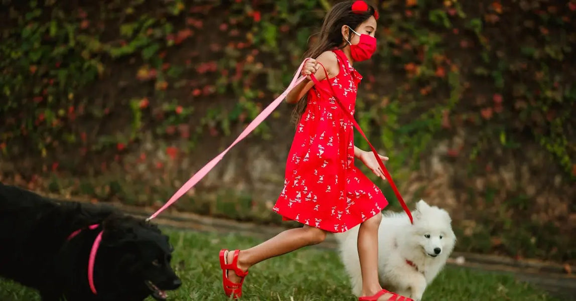 Smart Choices for Happy Pets: Top Health and Safety Picks for UK Dogs, Cats and Horses in 2025