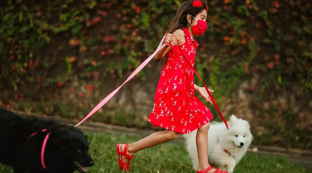 Girl in red dress walking two dogs with pink leashes outdoors, promoting pet safety products