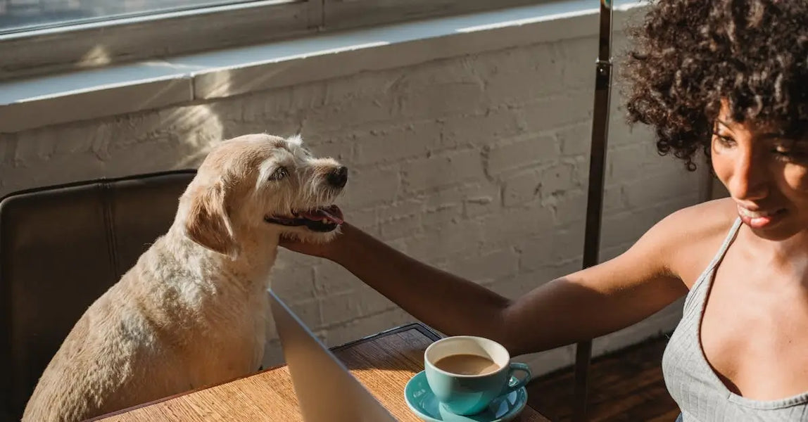 Woman petting happy dog indoors beside coffee cup and laptop in natural light