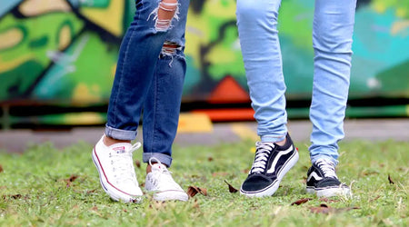 Stylish & Safe: Top Pick Pet Essentials for Happy UK Dogs & Parrots in 2025