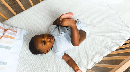 Top Comfort, Safety & Joy: The Best Pet Products Every UK Owner Should Try in 2025