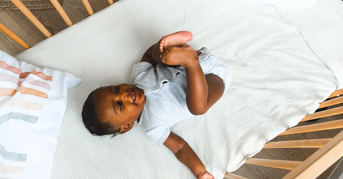 Top Comfort, Safety & Joy: The Best Pet Products Every UK Owner Should Try in 2025