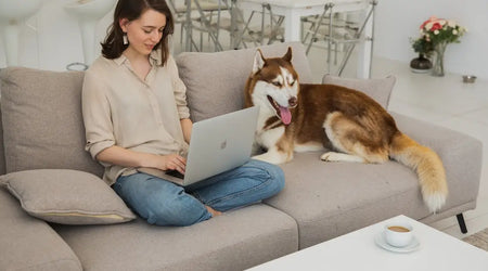 Top Interactive Pet Products in 2025: Keep Your Cat or Dog Happy, Healthy & Engaged