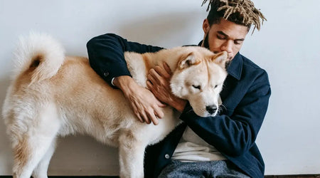 Top Pet Care Essentials for a Happy, Healthy 2025: Our Favourite Food, Grooming & Play Products