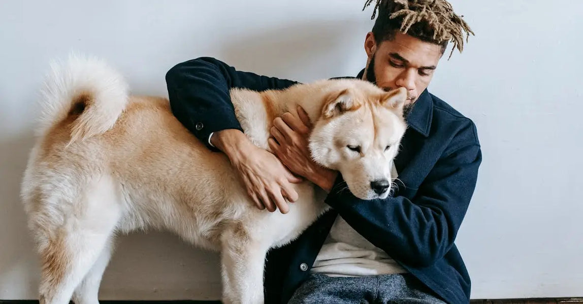 Top Pet Care Essentials for a Happy, Healthy 2025: Our Favourite Food, Grooming & Play Products