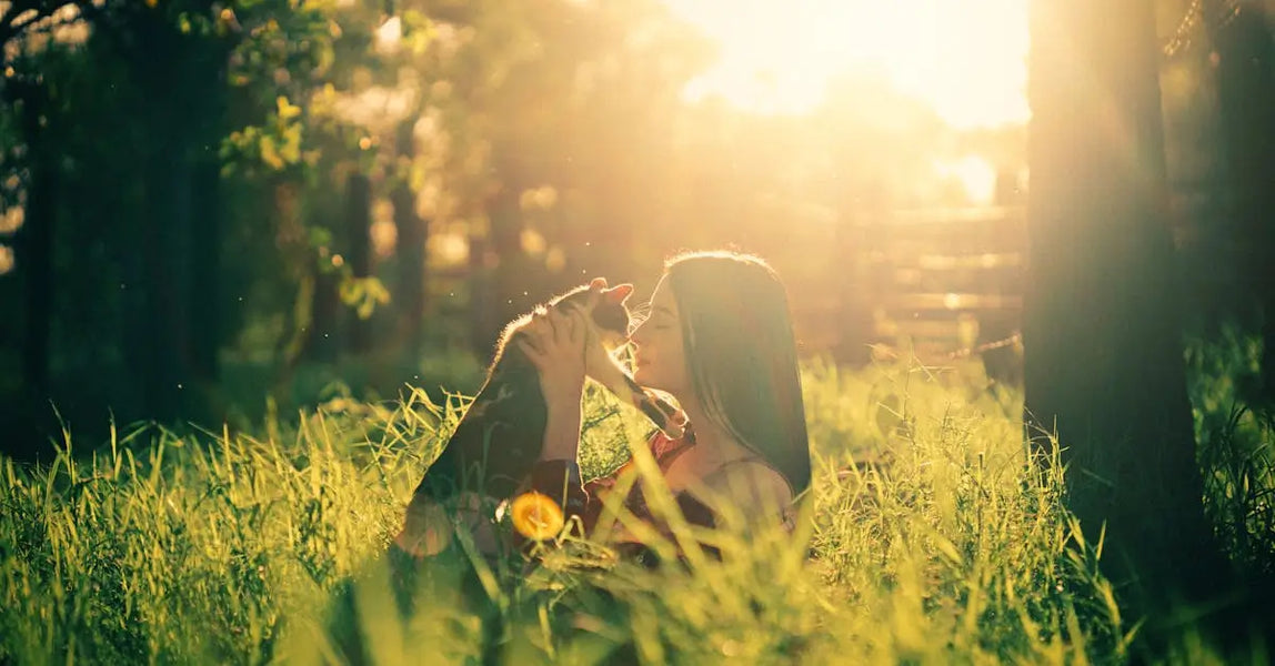 Top Pet Essentials for Spring 2025: Keep Your Dog and Cat Happy & Healthy