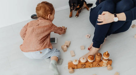 The Ultimate 2025 Pet Care Hamper: Top-Rated Food, Toys & Supplements for UK Cats, Dogs & Horses