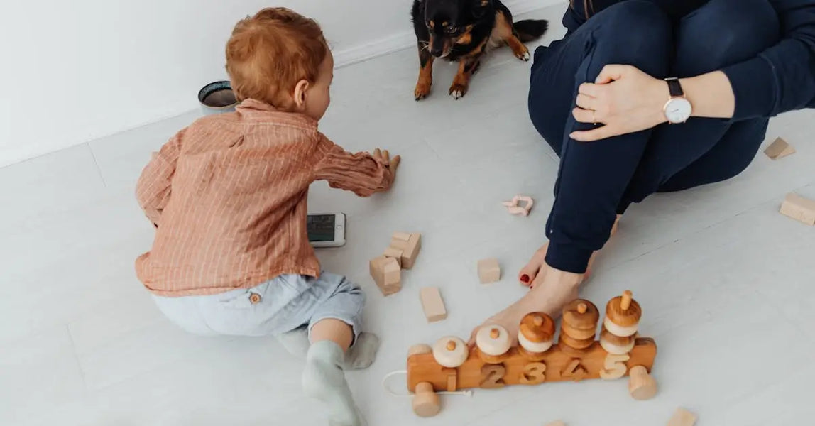 The Ultimate 2025 Pet Care Hamper: Top-Rated Food, Toys & Supplements for UK Cats, Dogs & Horses