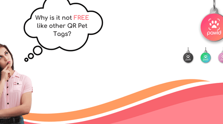 Why Paw ID QR Code Pet Tags Aren’t Free (And Why That’s a Good Thing!)