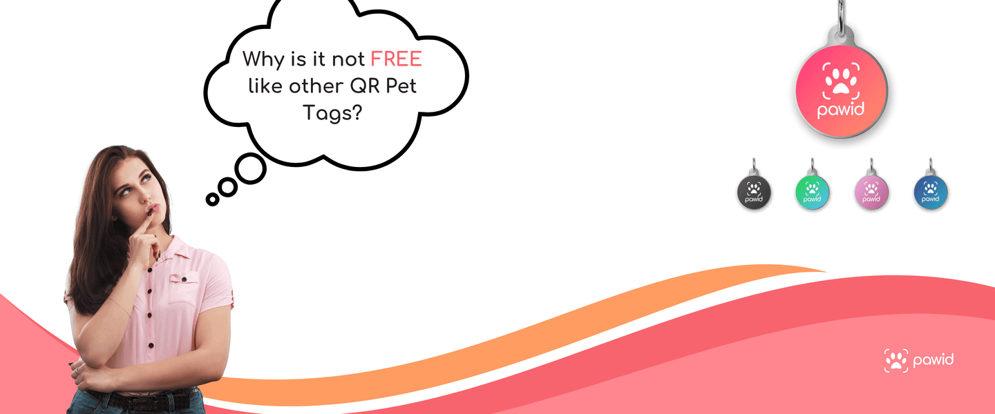 Why Paw ID QR Code Pet Tags Aren’t Free (And Why That’s a Good Thing!)