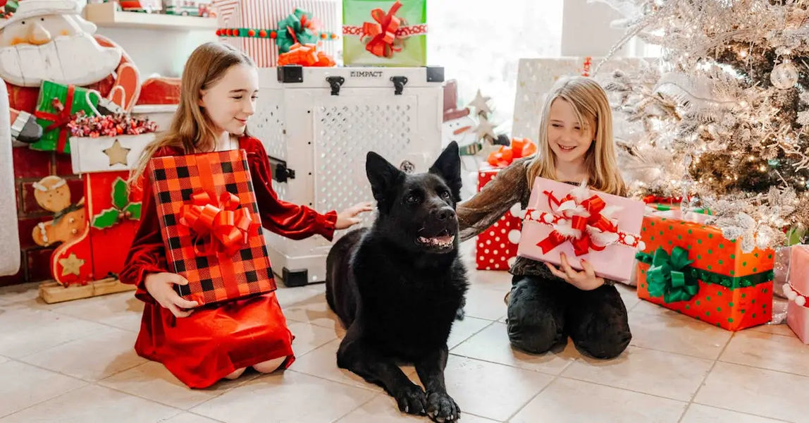 Winter Wellbeing: Essential Products to Keep Your Pet Safe, Cosy & Clean in 2025