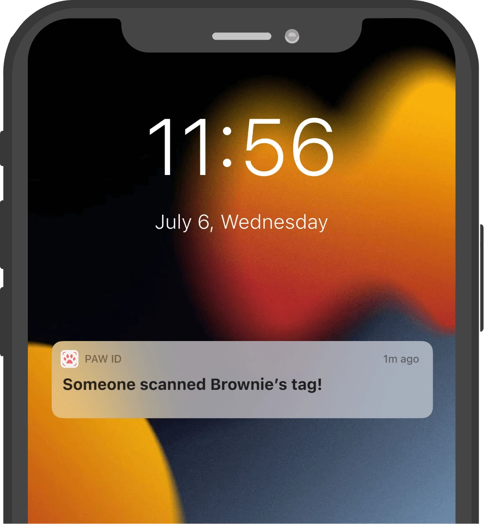Mobile phone lock screen displaying a Paw ID push notification that someone has scanned Brownie’s tag.