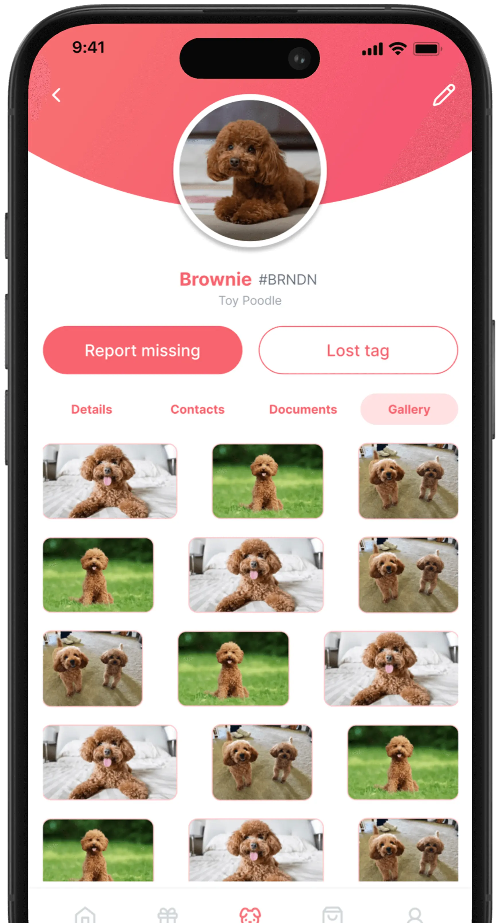 Paw ID pet profile displaying a photo gallery of Brownie the toy poodle, with multiple images arranged in a grid layout.